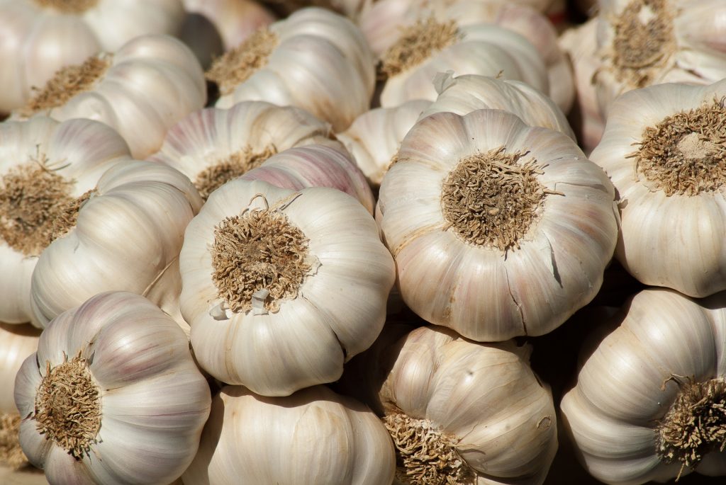 benefits of garlic for health