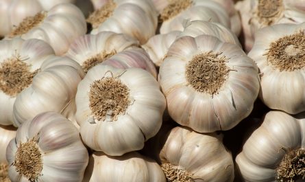 benefits of garlic for health