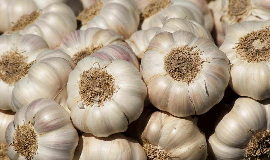 12 Astonishing Benefits Of Garlic For Health and Skin