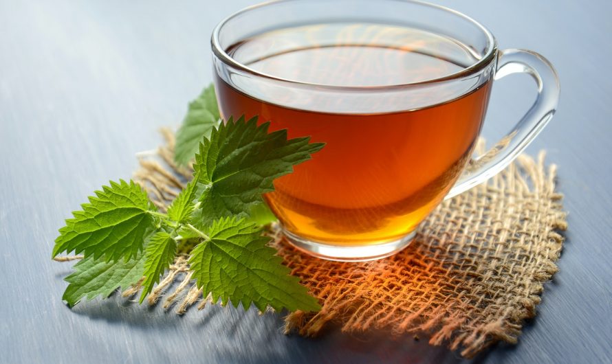 10 Rejuvenating Benefits Of Green Tea For Hair Growth