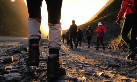 what are the benefits of walking